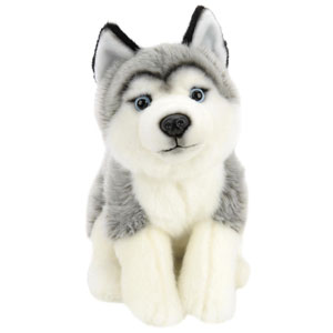 perro